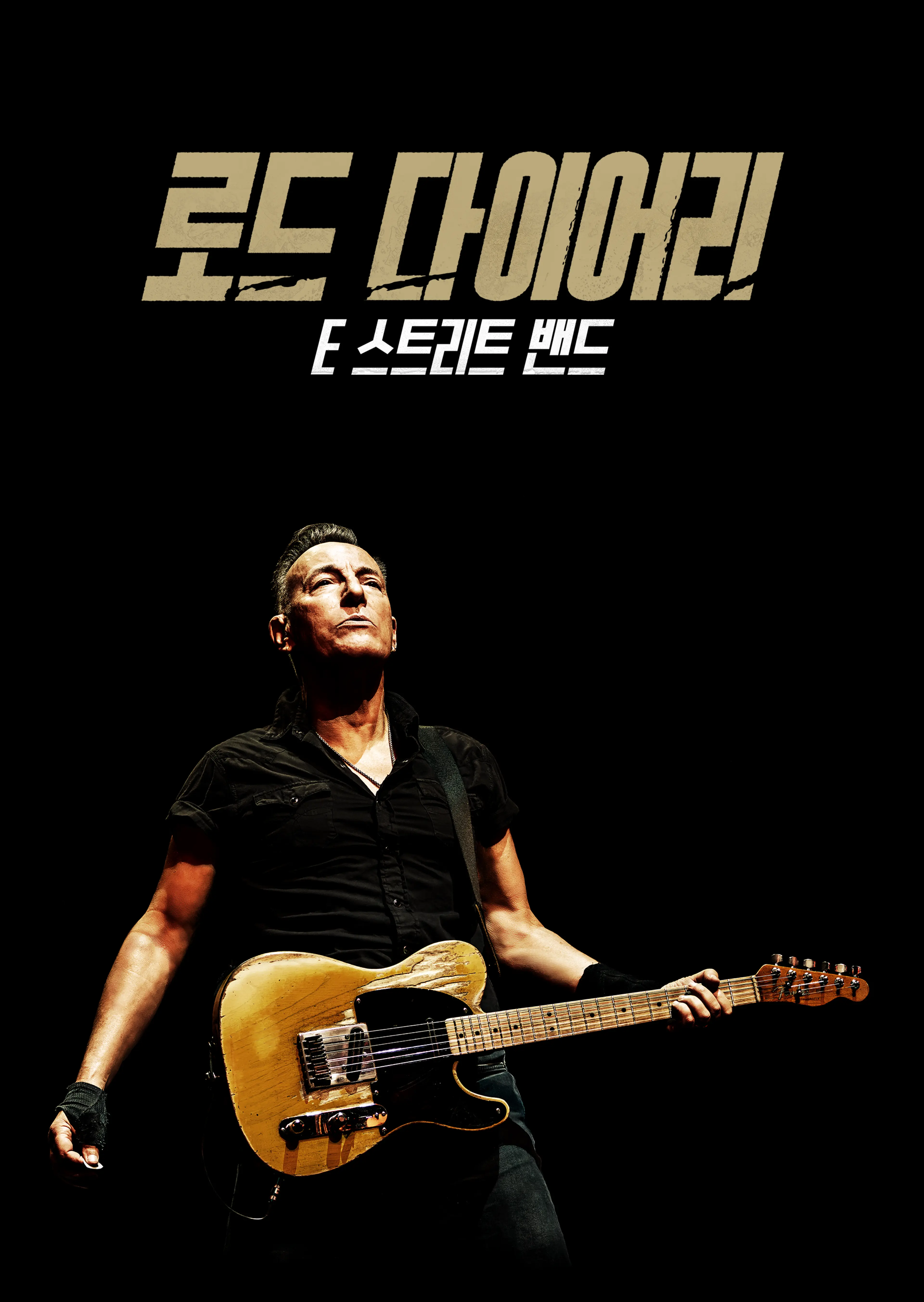 로드 다이어리: E 스트리트 밴드