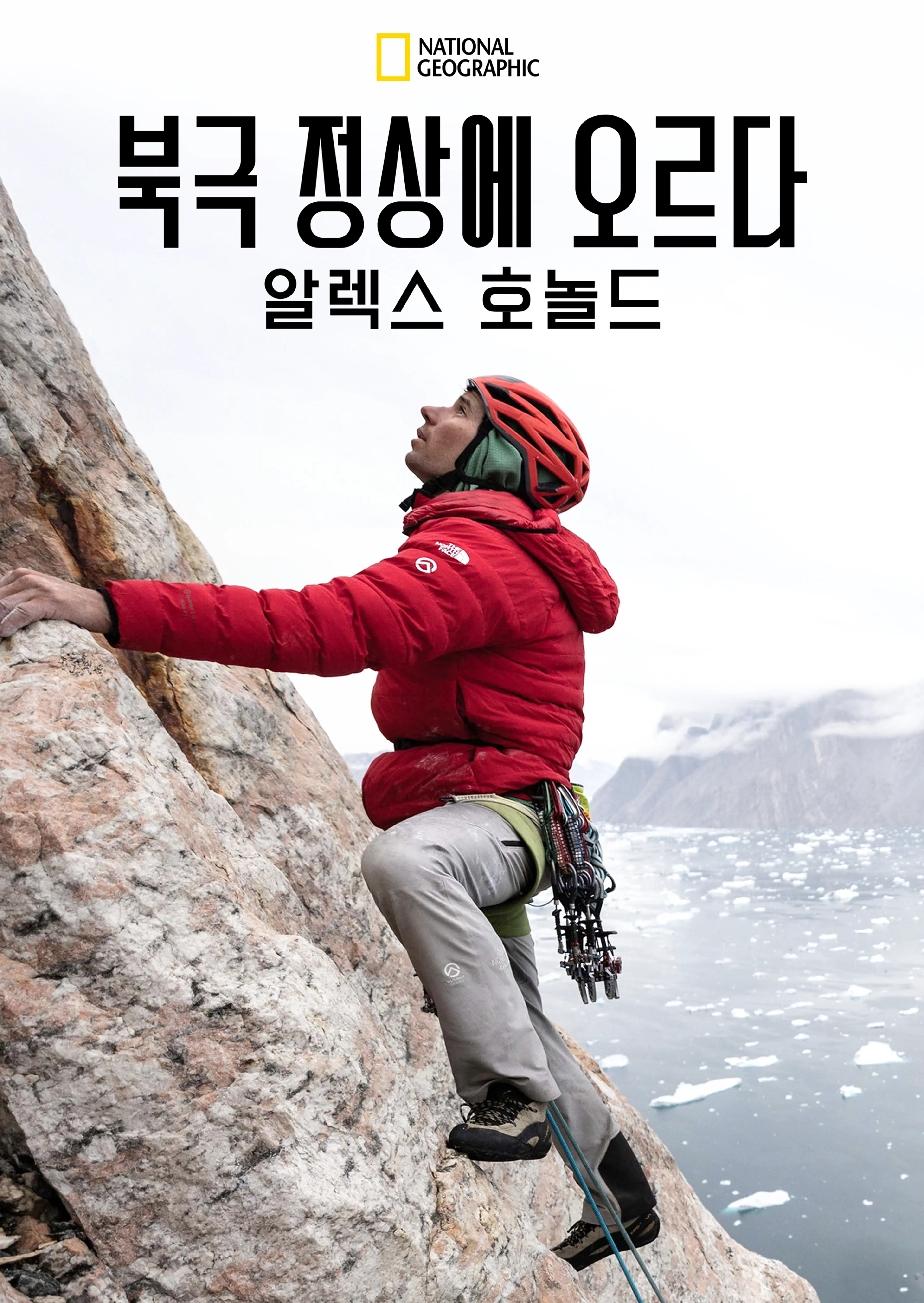 북극 정상에 오르다 알렉스 호놀드