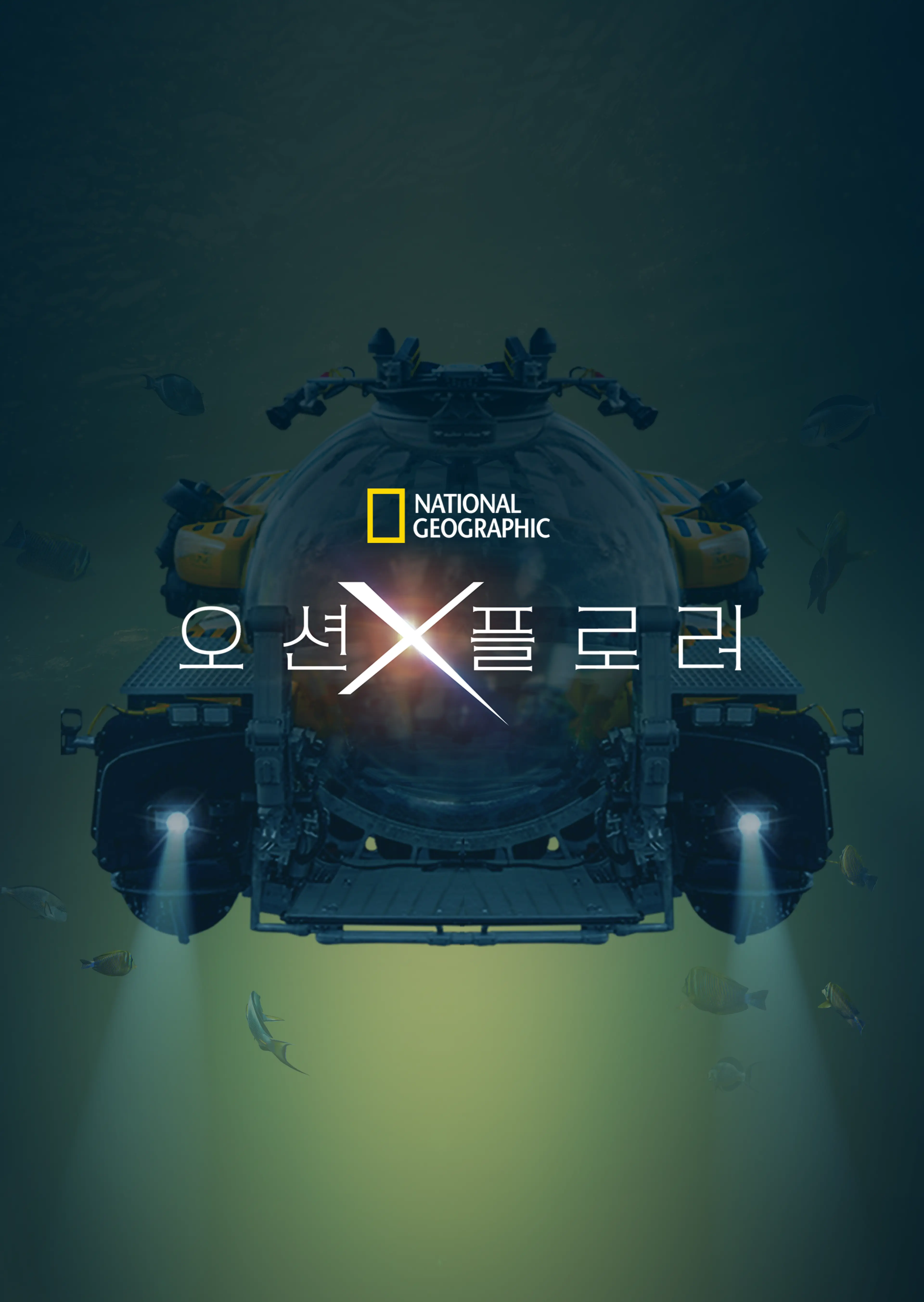 오션X플로러