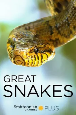 Great Snakes