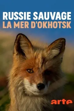 Russie sauvage : la mer d'Okhotsk Season 1