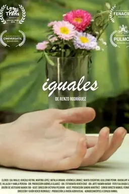 Iguales