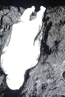 Naissance