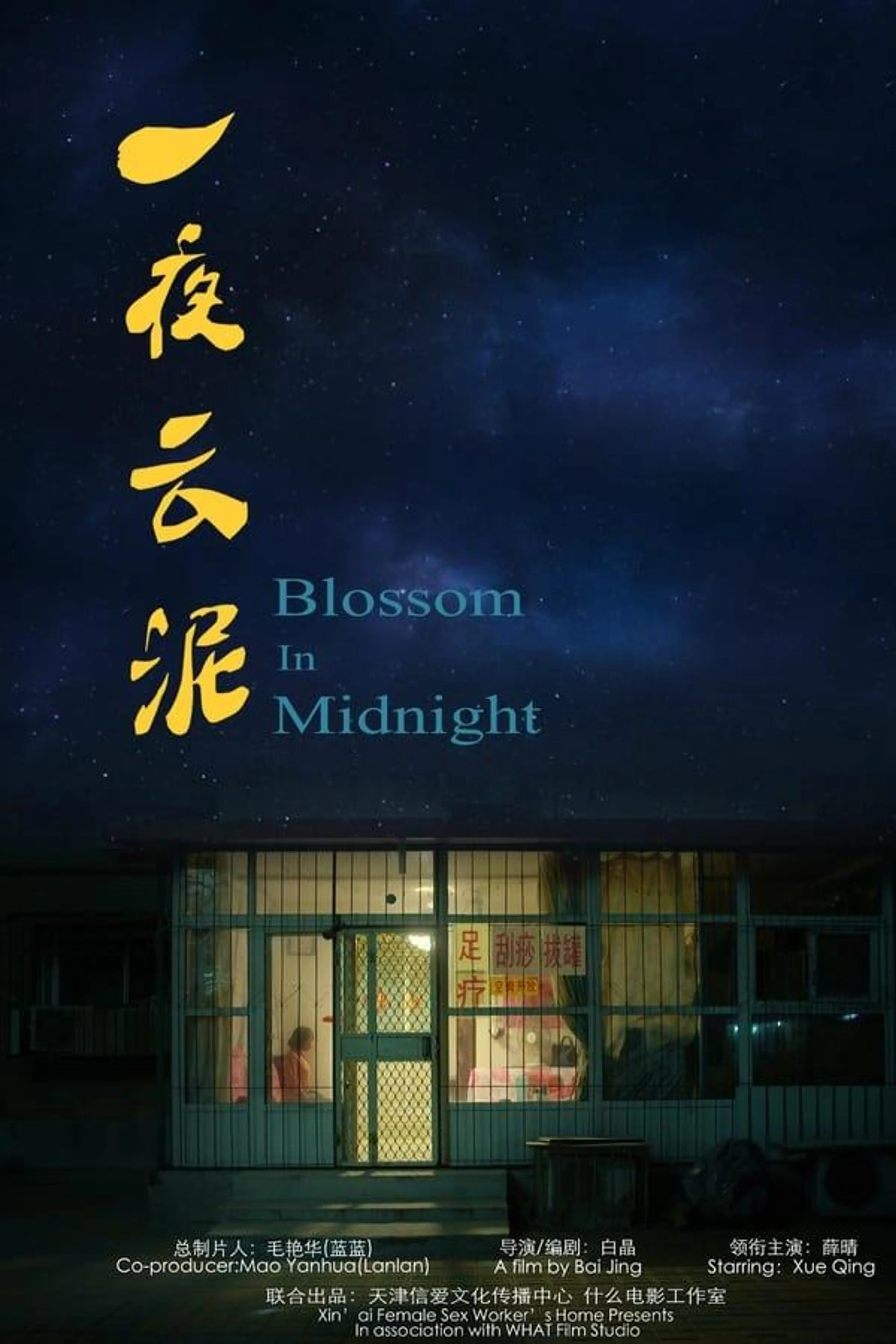 Blossom in Midnight