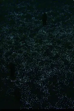 the planck universe [micro]