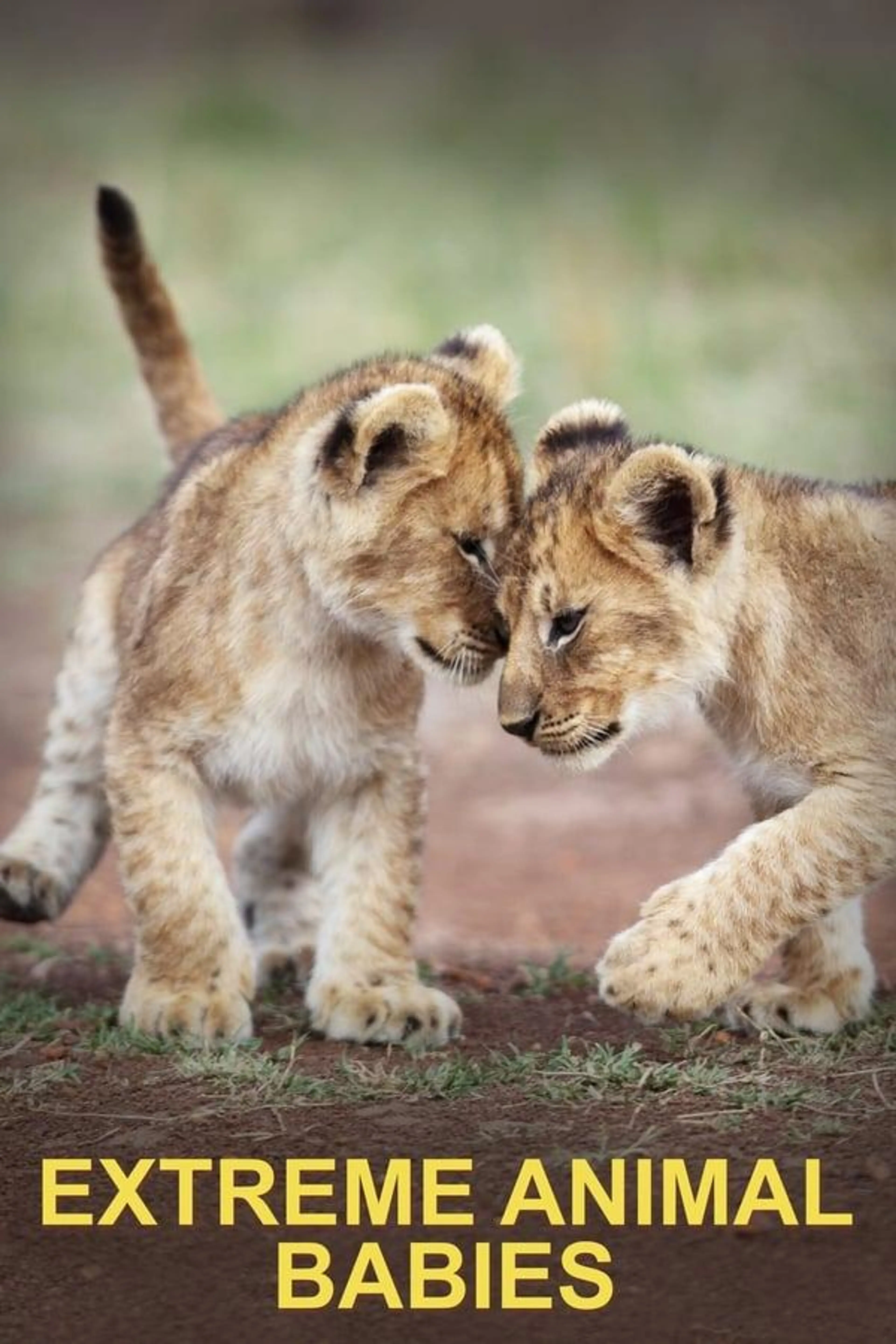 Extreme Animal Babies Season 1