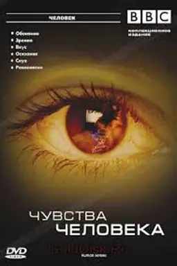 Human Senses Season 1