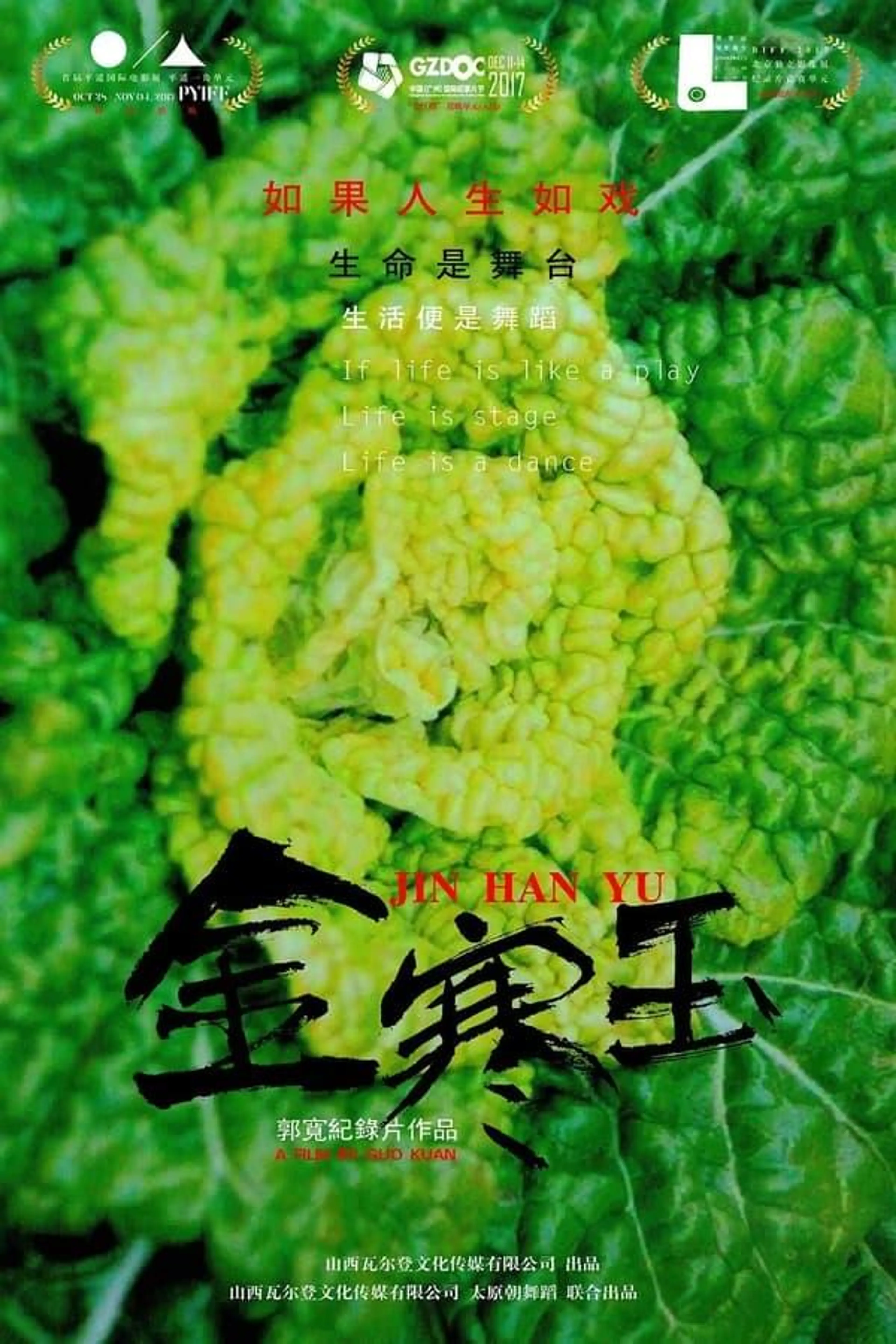 Jin Han Yu