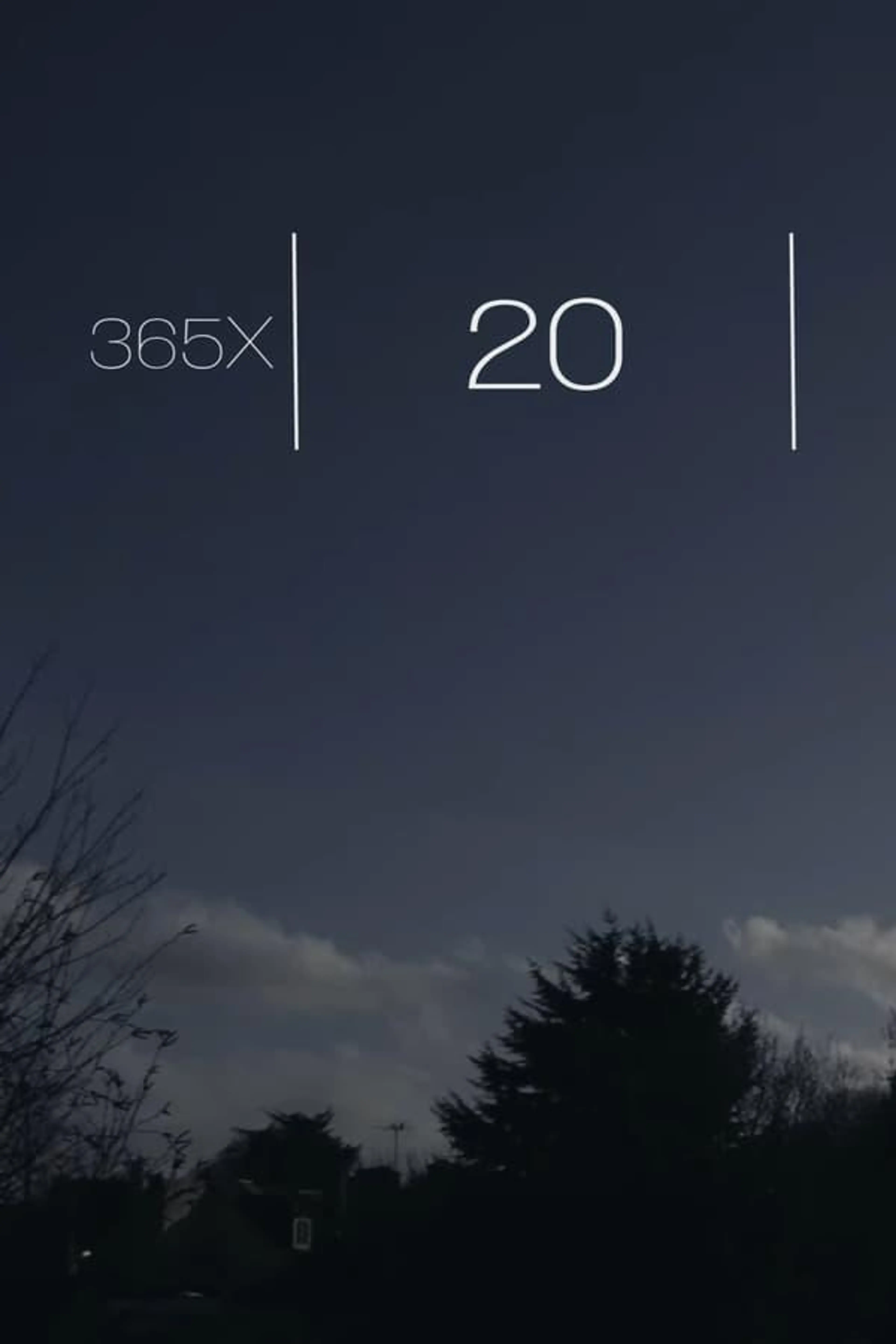 365x : 20
