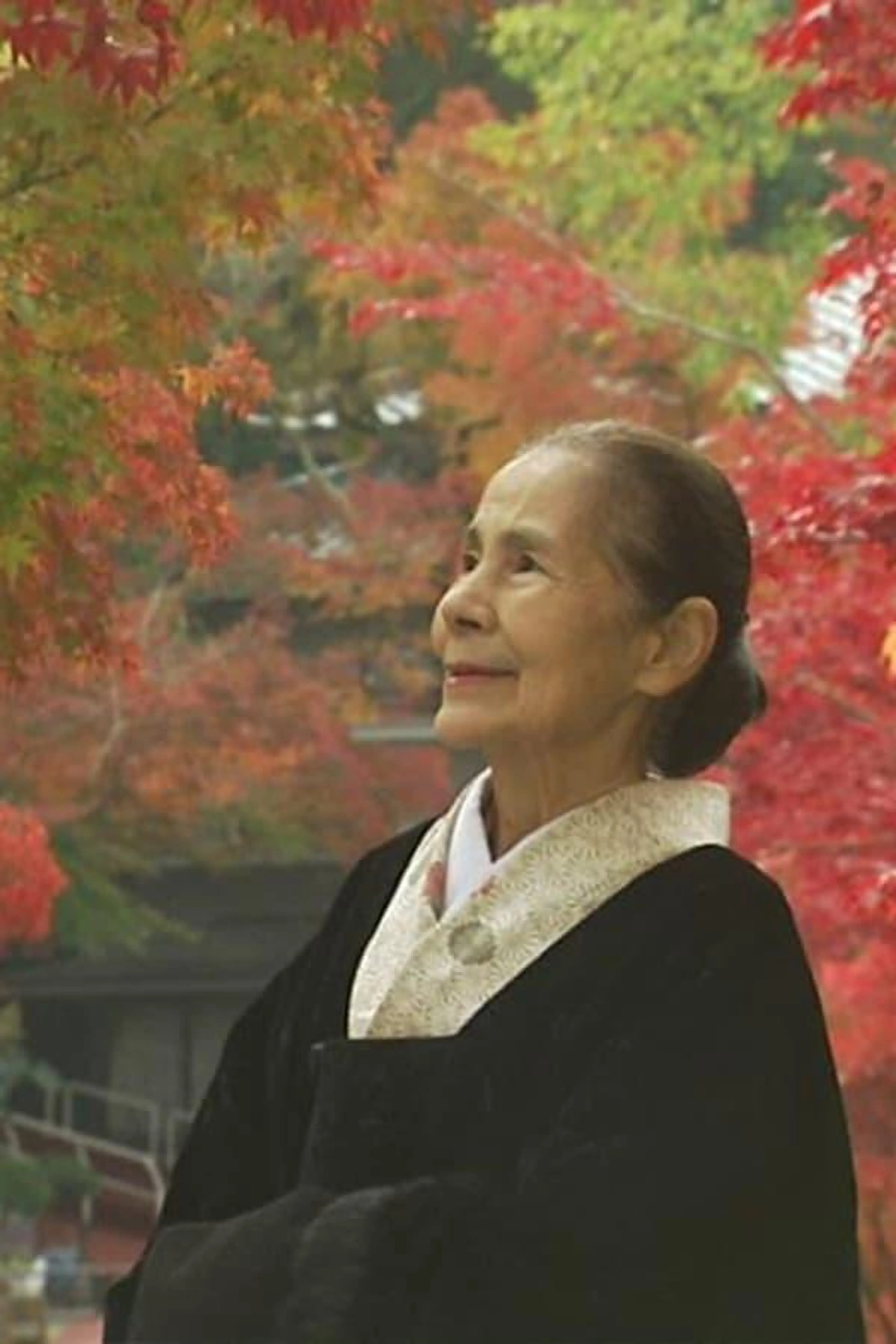 Tsuruko's Tea Journey