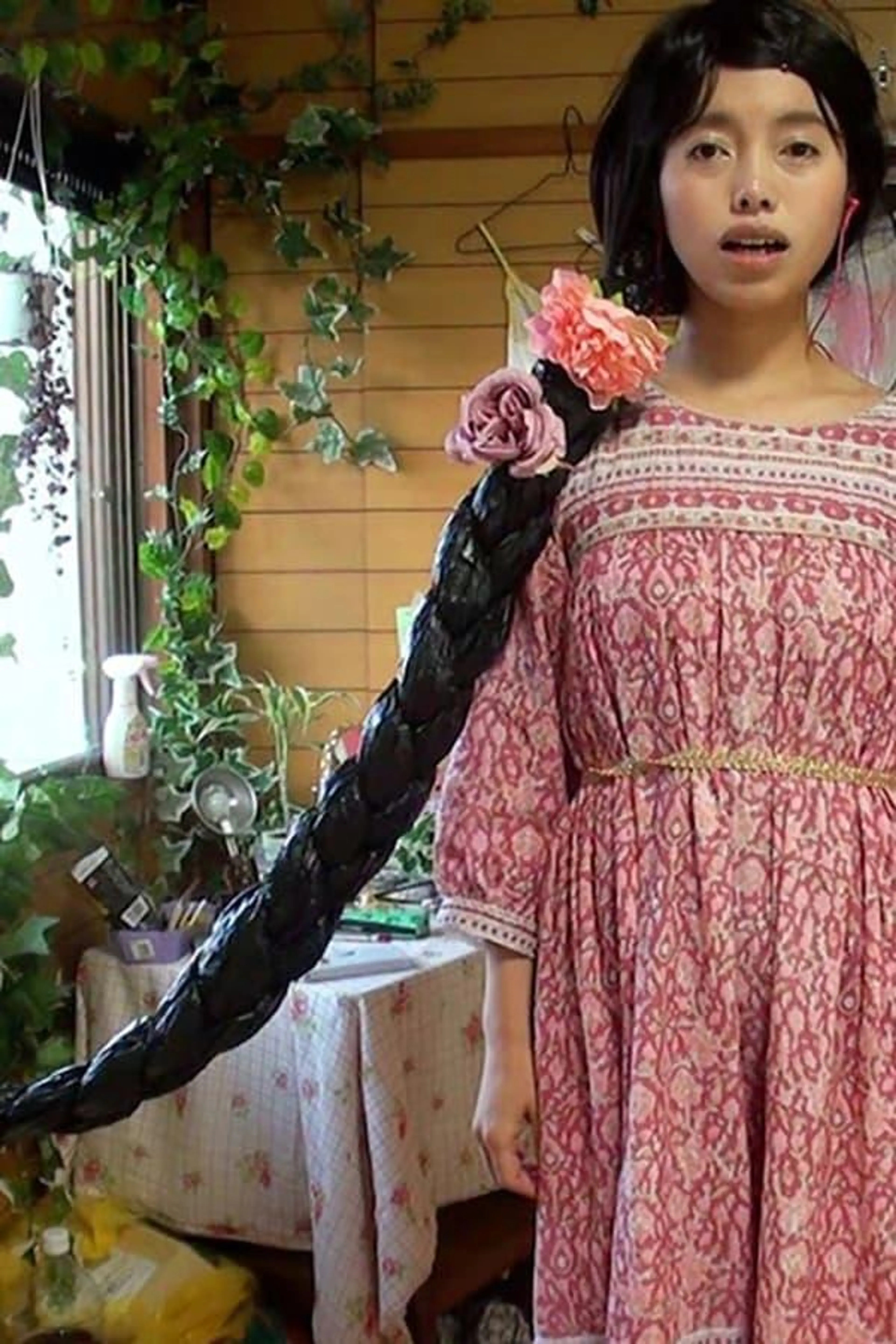 Dream Catcher