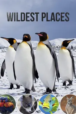 Wildest Places Wildest Pacific