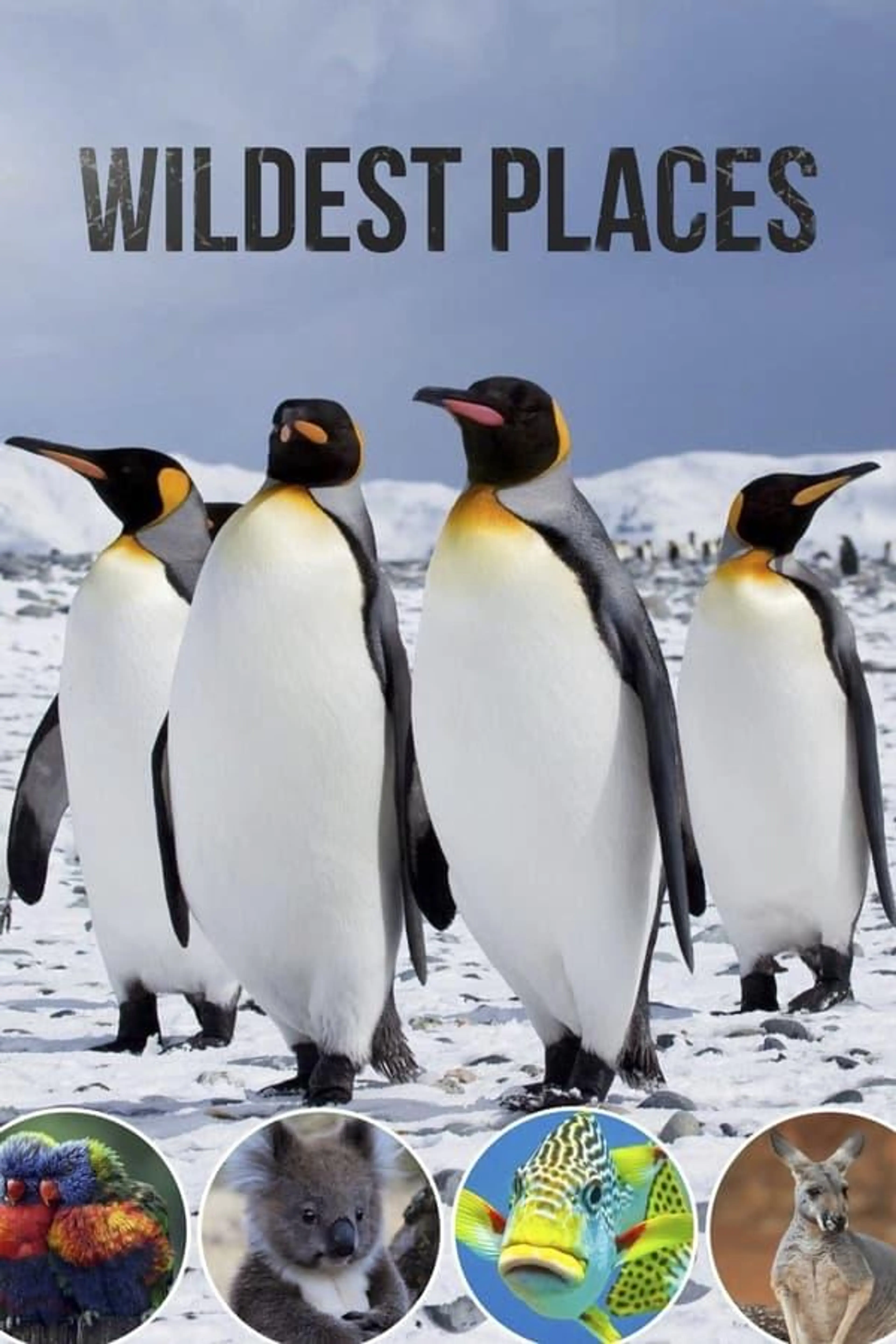Wildest Places Wildest Pacific