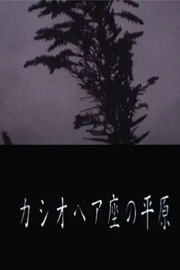 Cassiopeia Land