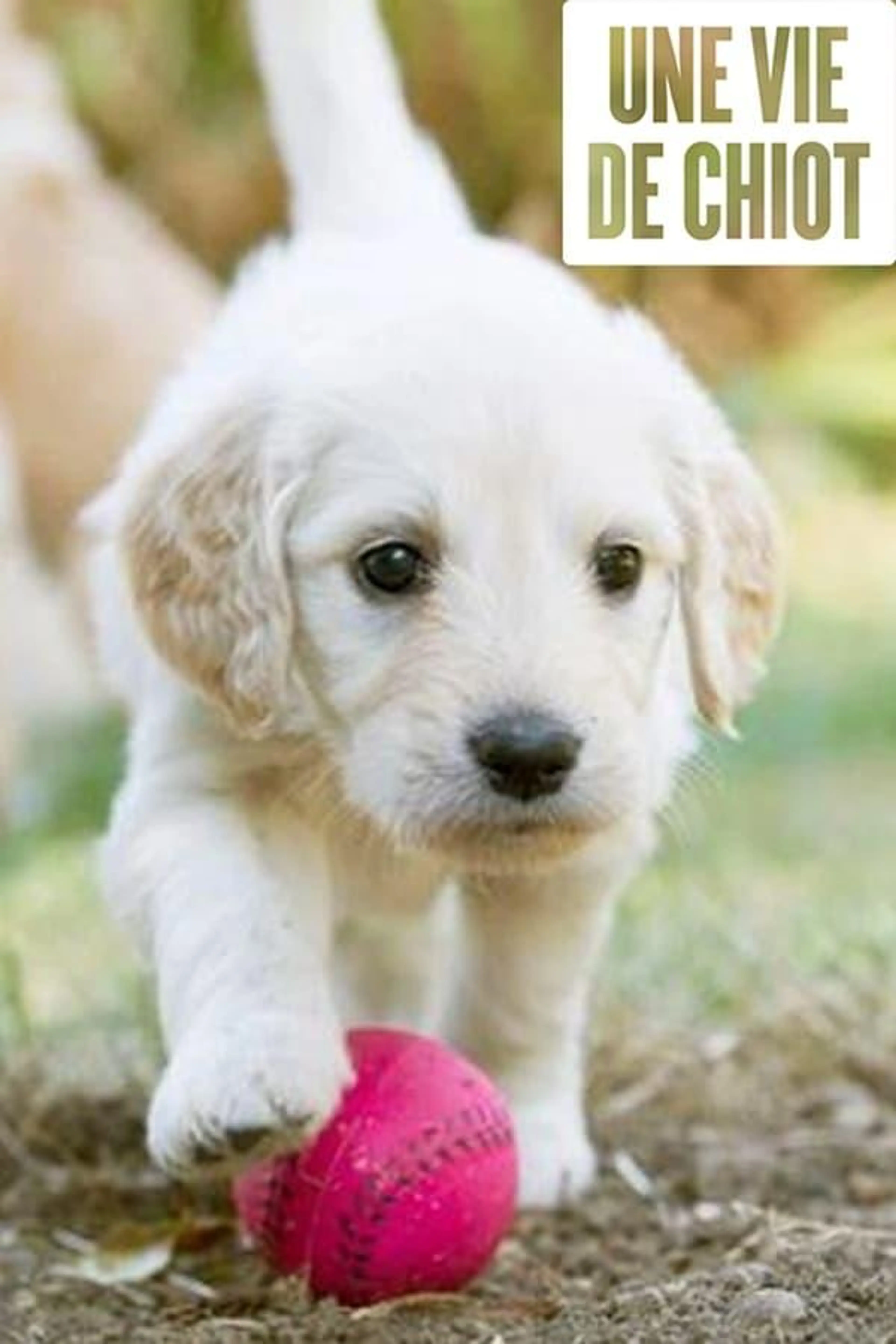 Une vie de chiot Season 3