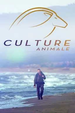 Wild Trip Season 1