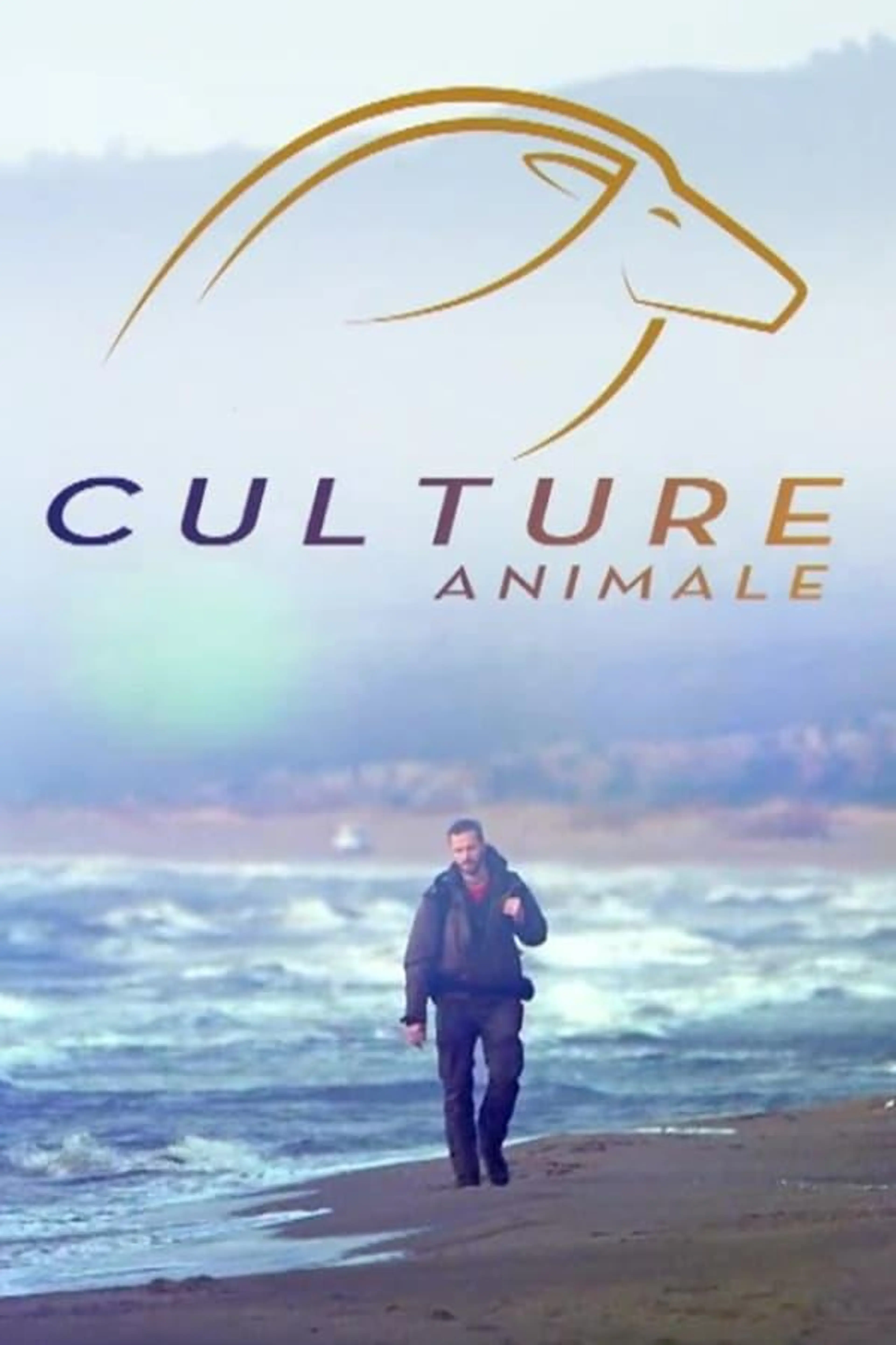 Wild Trip Season 1