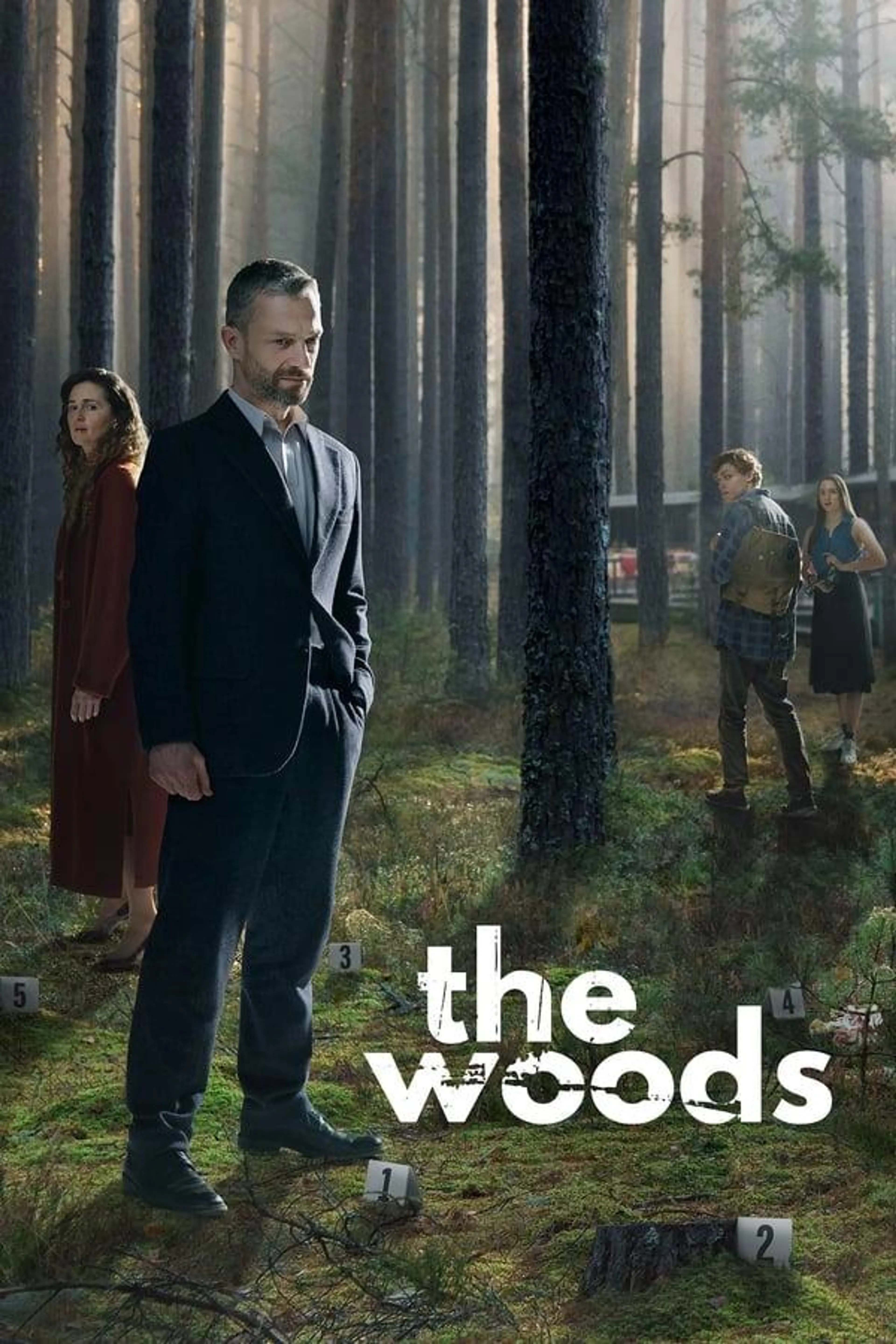 The Woods Limited Series