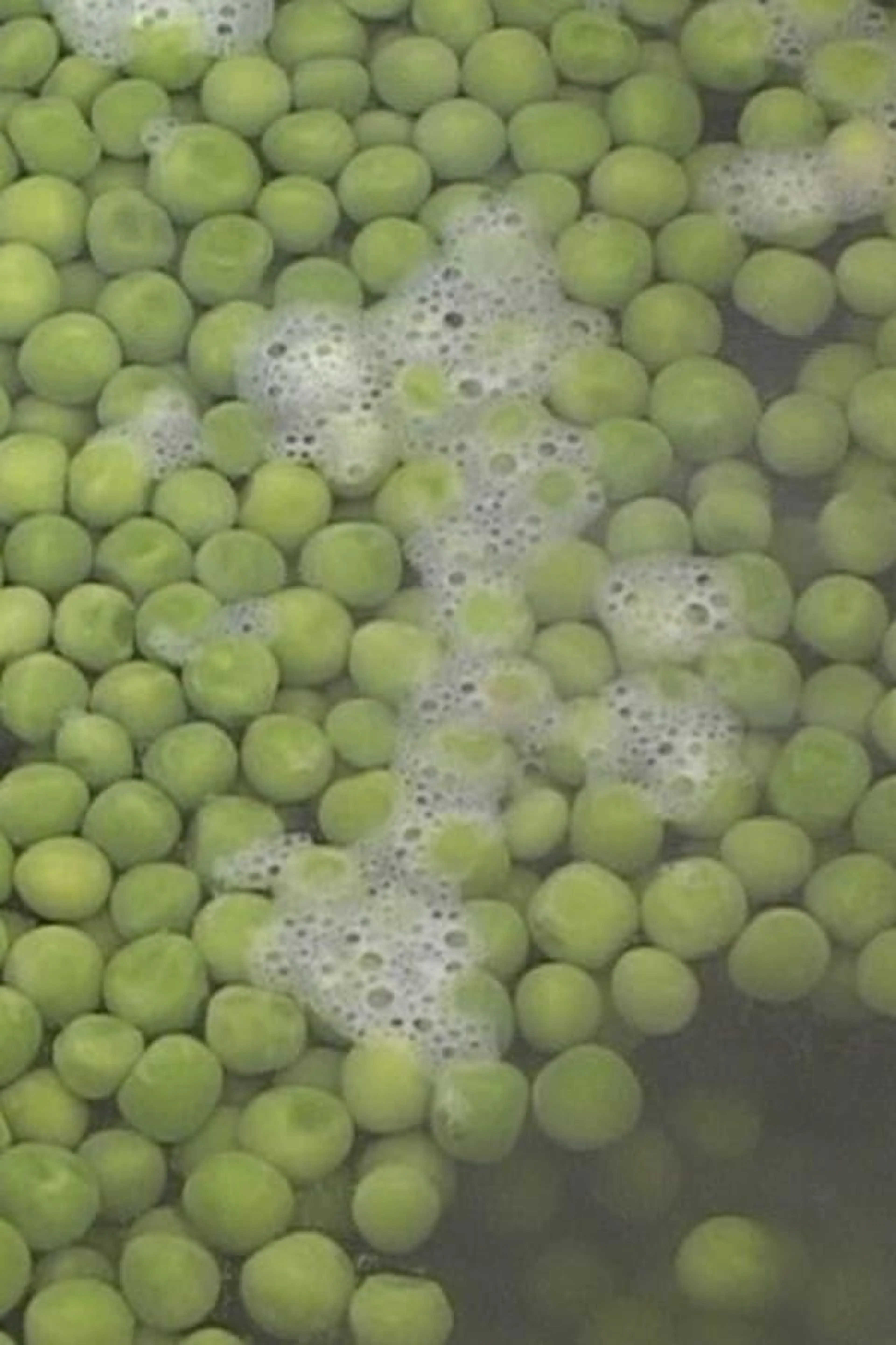 Peas