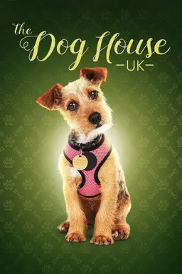 The Dog House Specials