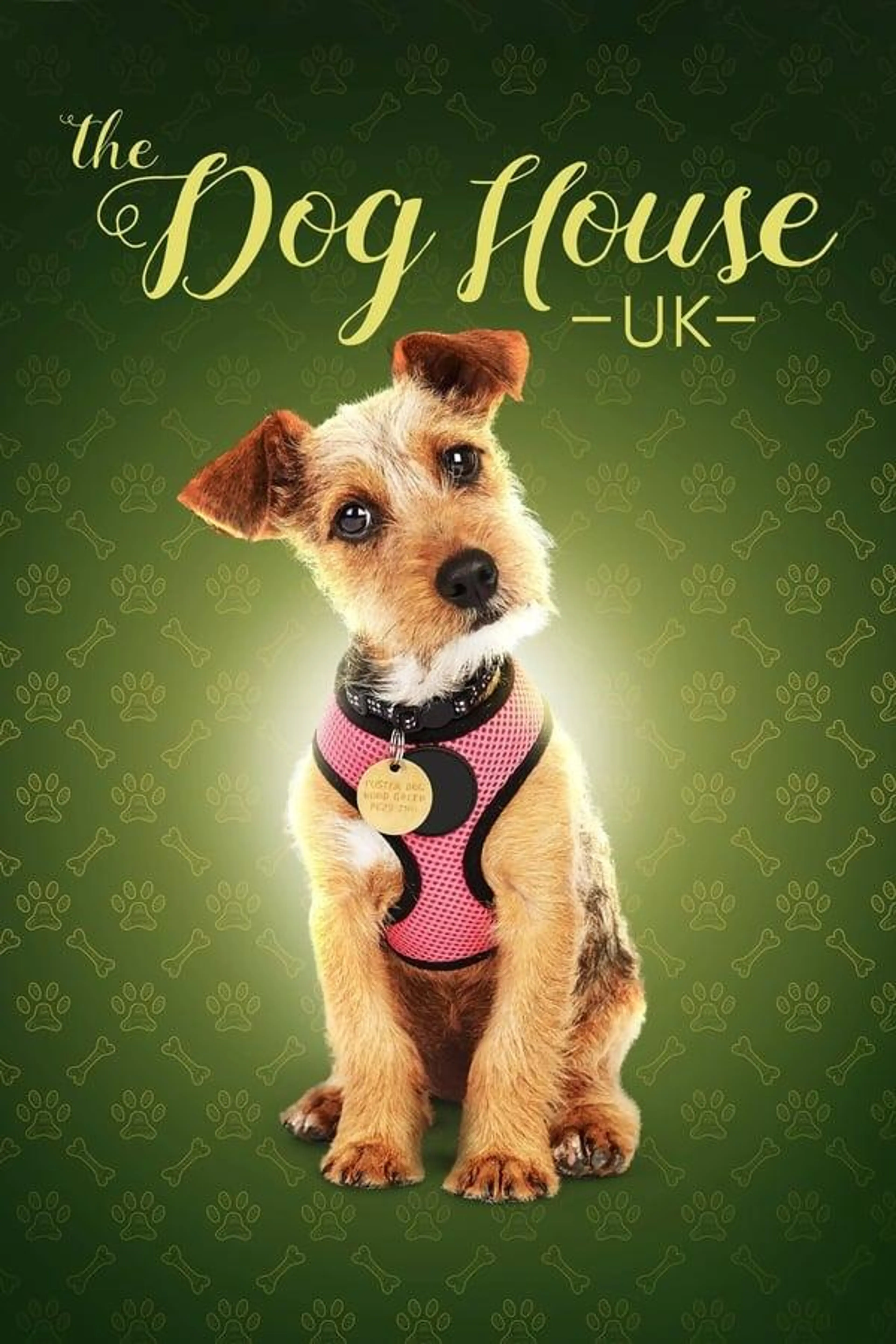The Dog House Specials