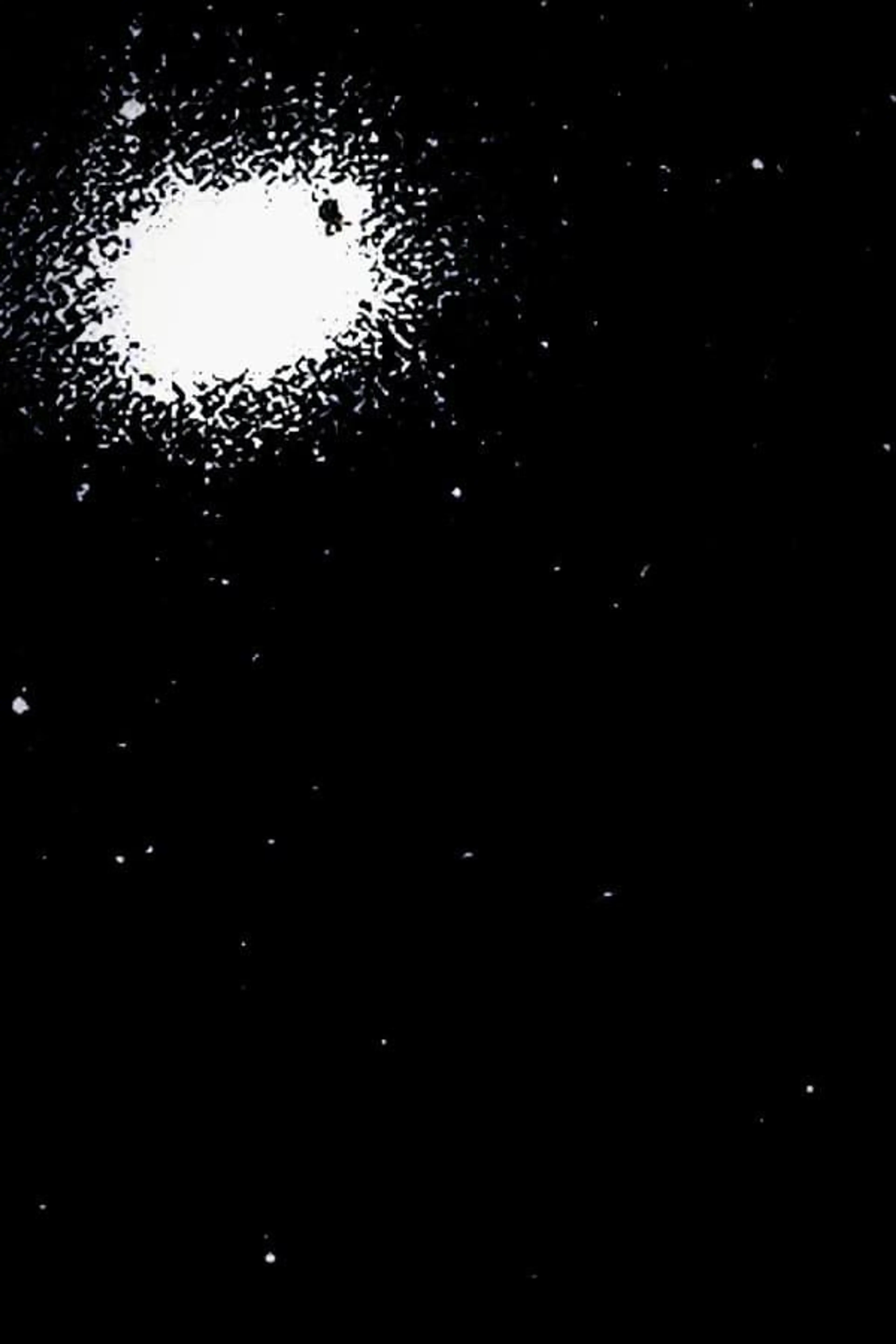 TENNOZU ISLE-MINAMIHAMA BEACH