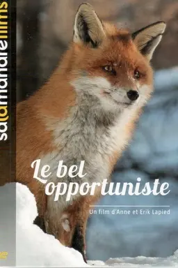 The Beautiful Opportunist