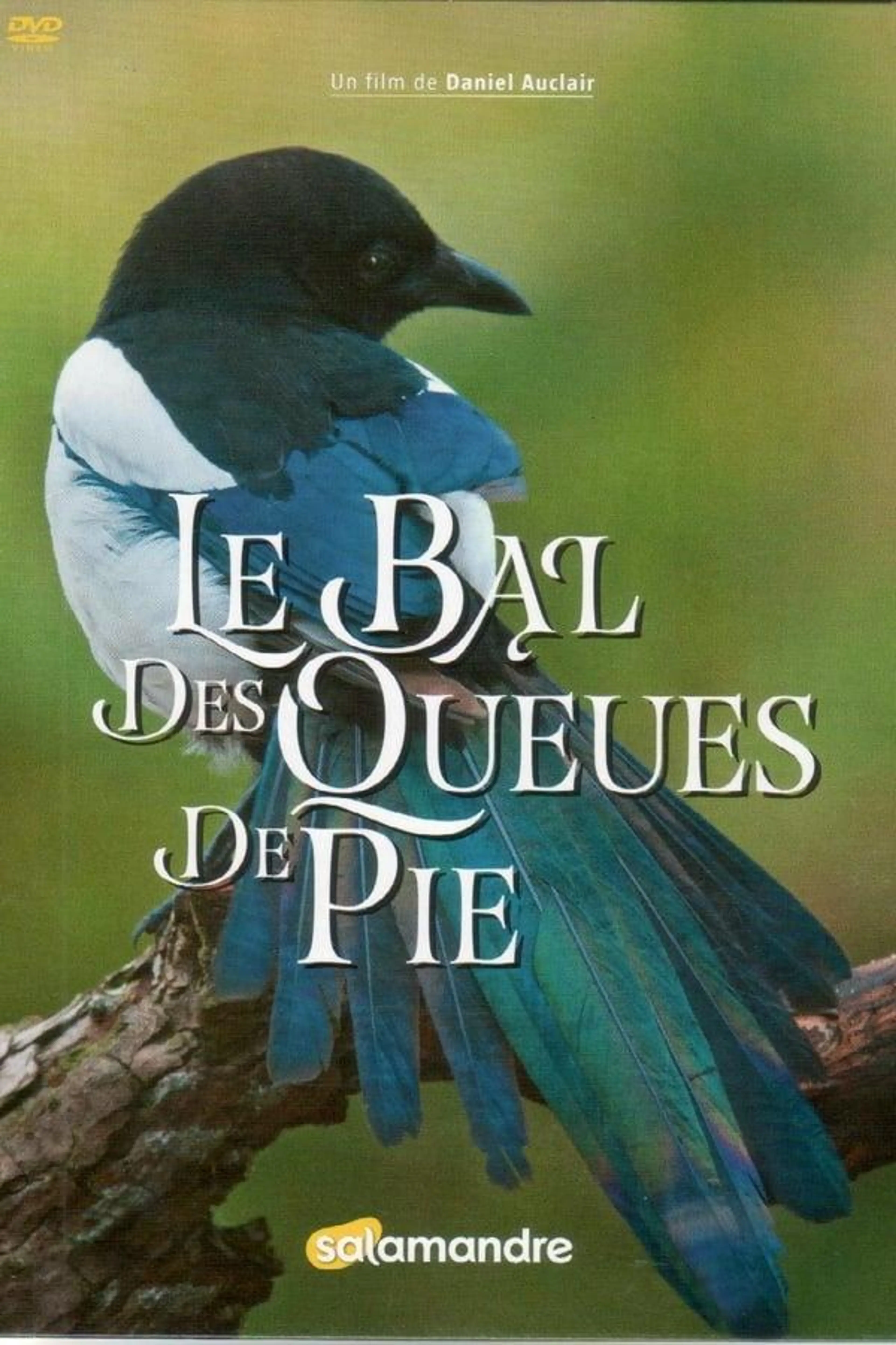 Le Bal Des Queues De Pie