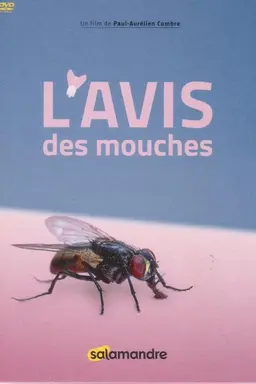 L'Avis Des Mouches