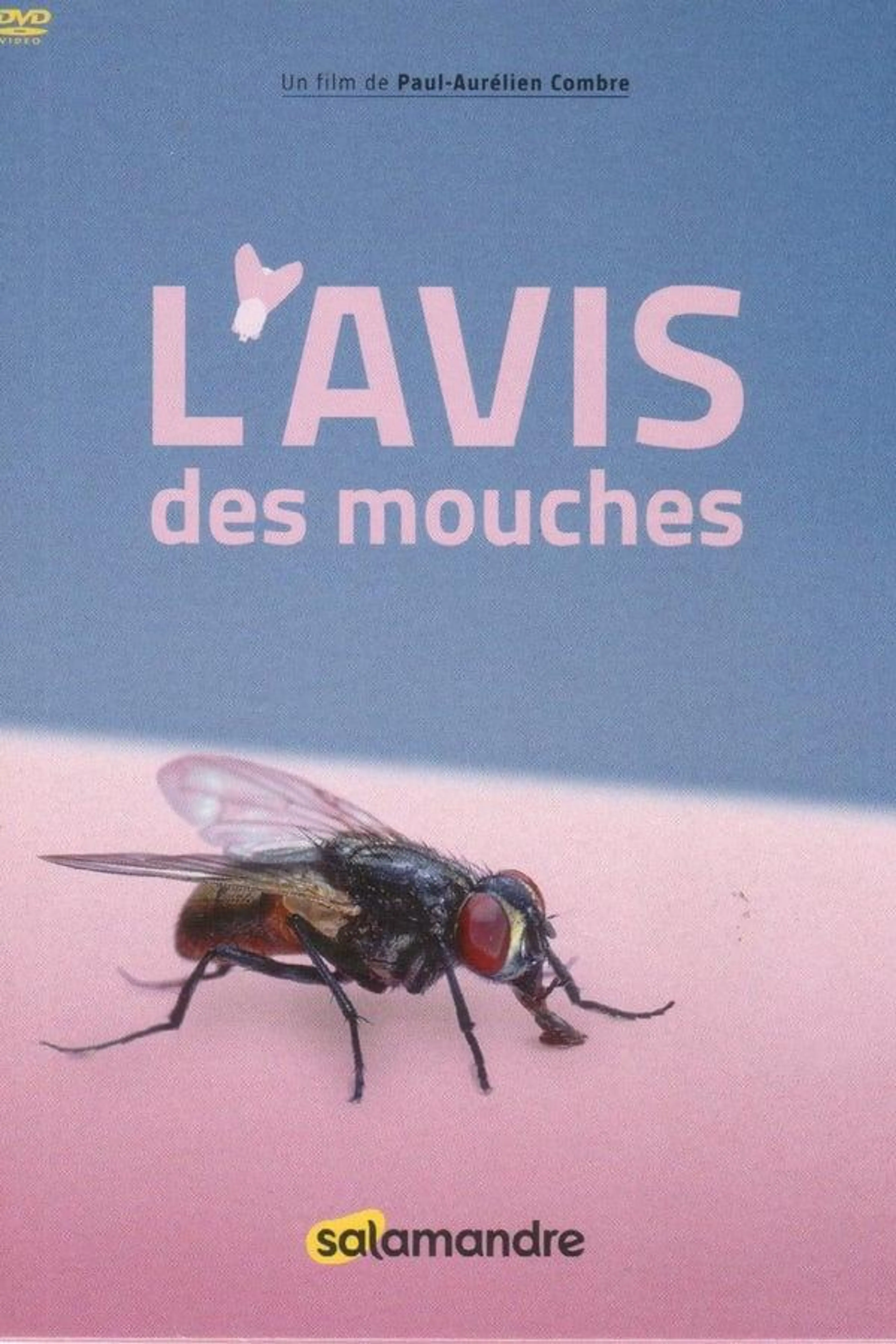 L'Avis Des Mouches
