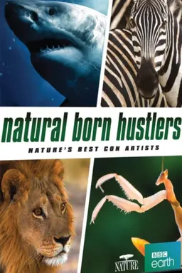 Natural Born Hustlers Season 1