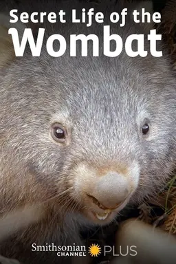 Secret Life of the Wombat Season 1