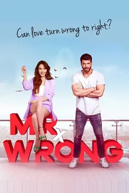 Mr. Wrong Season 1