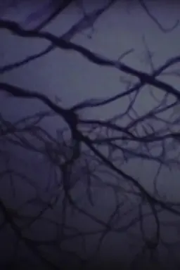 The Luminous Undergrowth