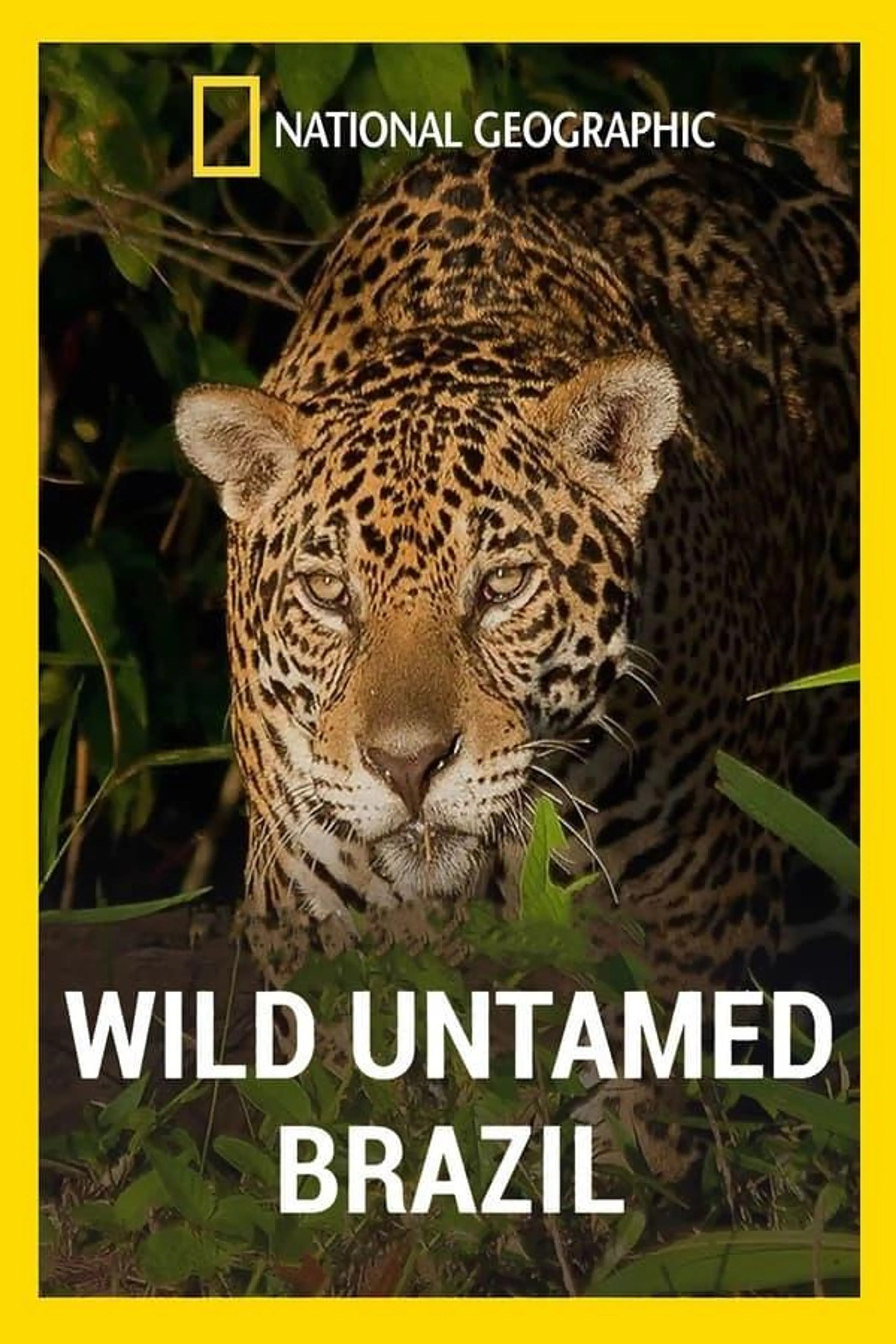 Wild Untamed Brazil Season 1