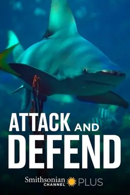 Attack and Defend Season 1