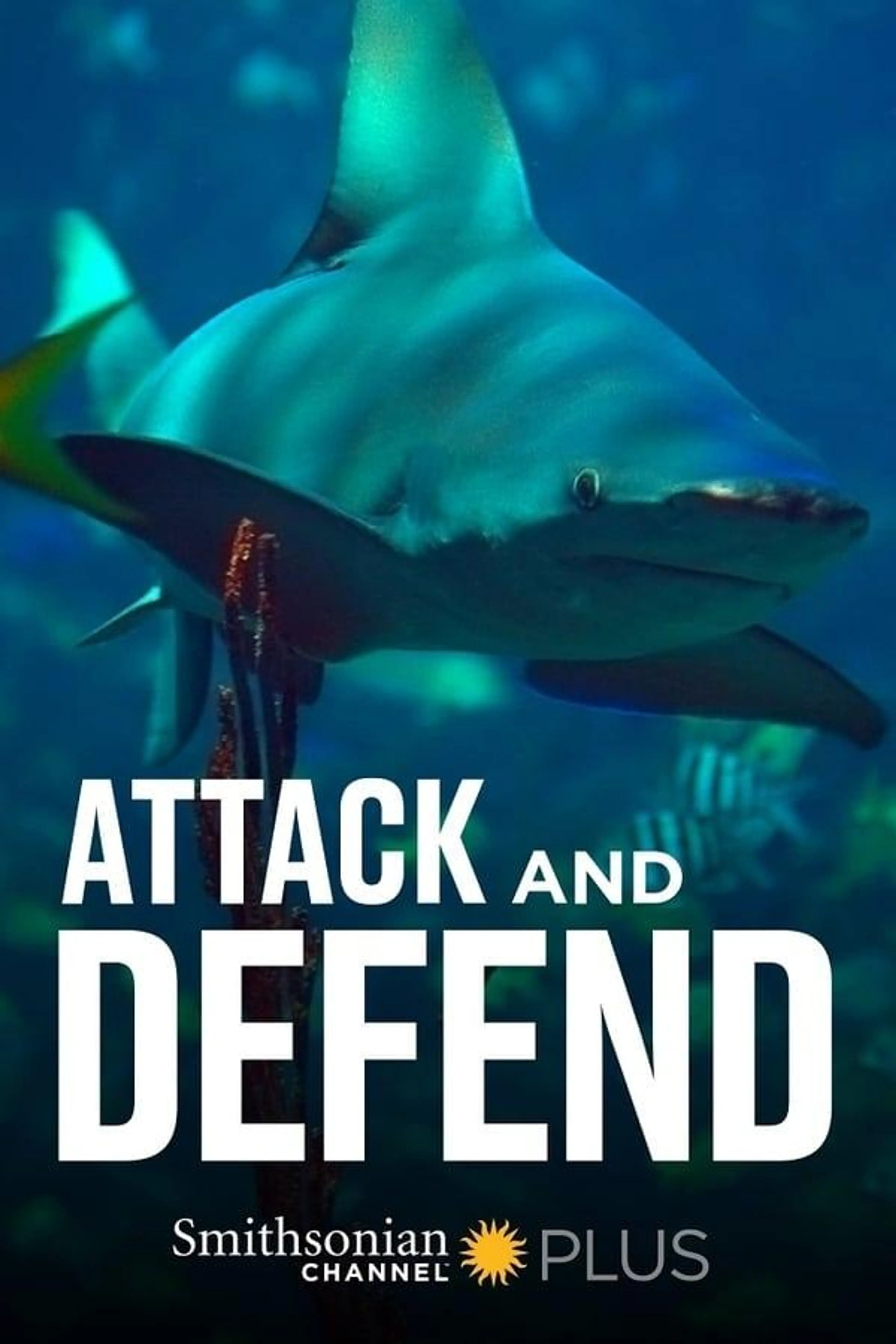 Attack and Defend Season 1