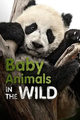 Baby Animals In The Wild Season 1