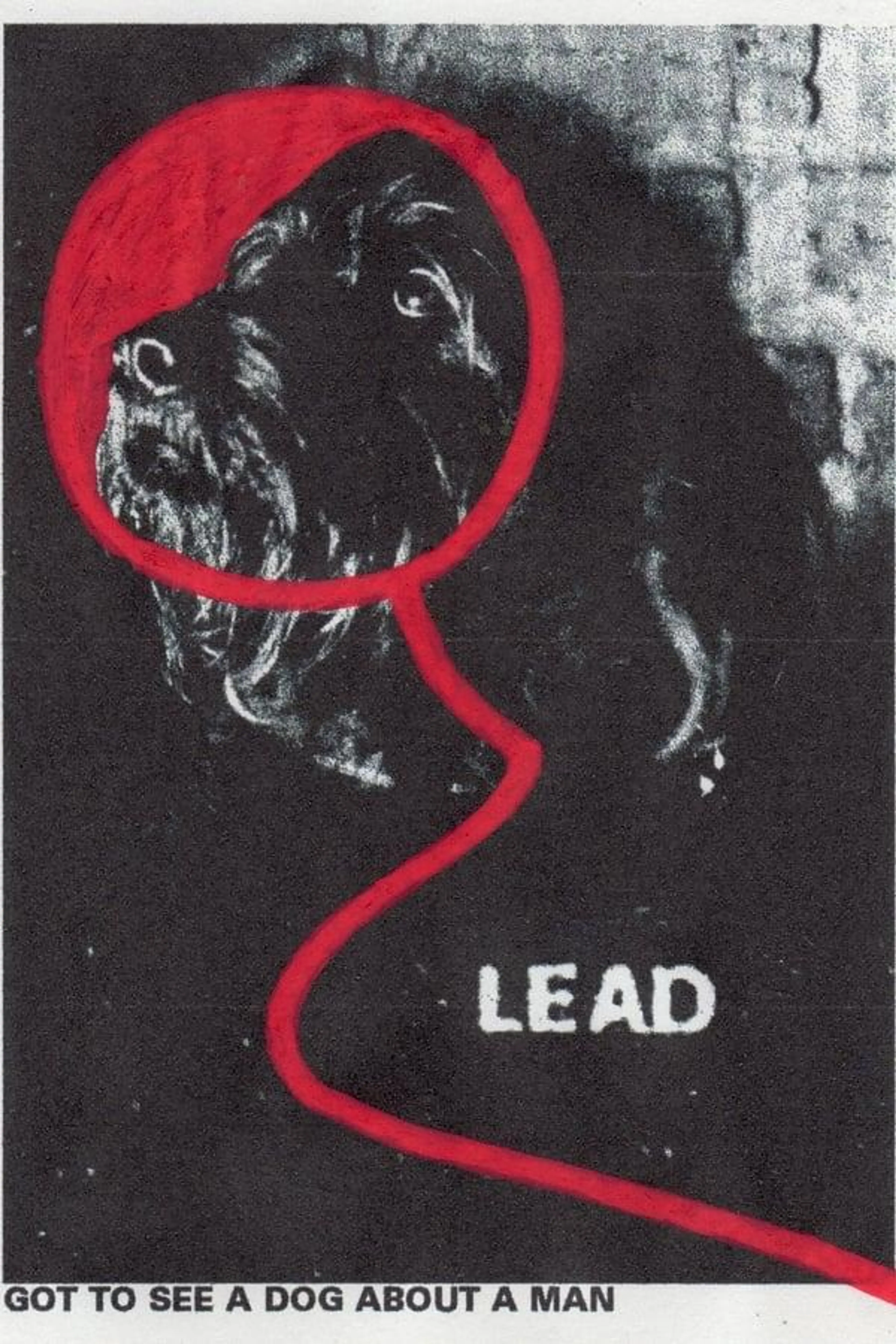 Lead