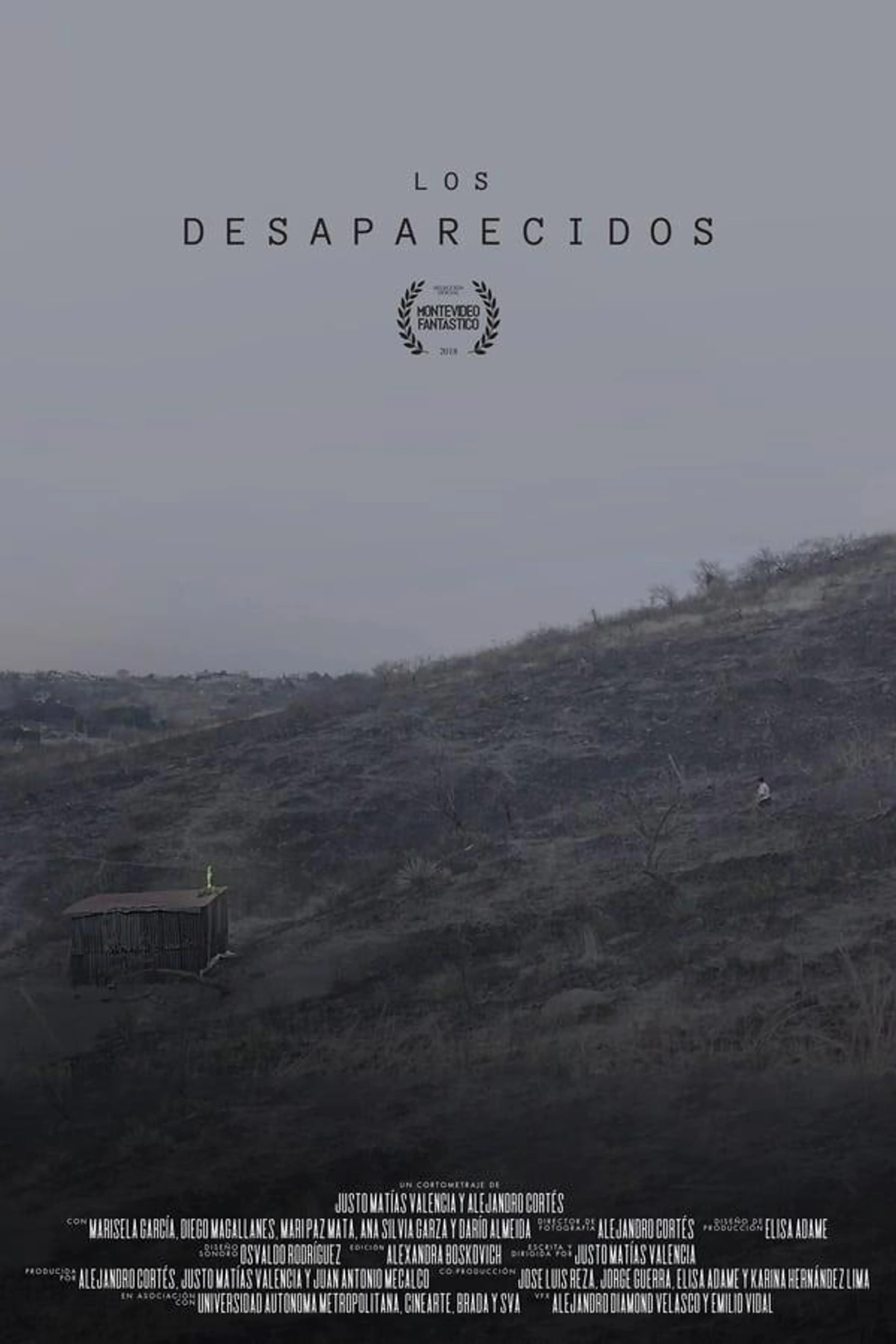 Los desaparecidos