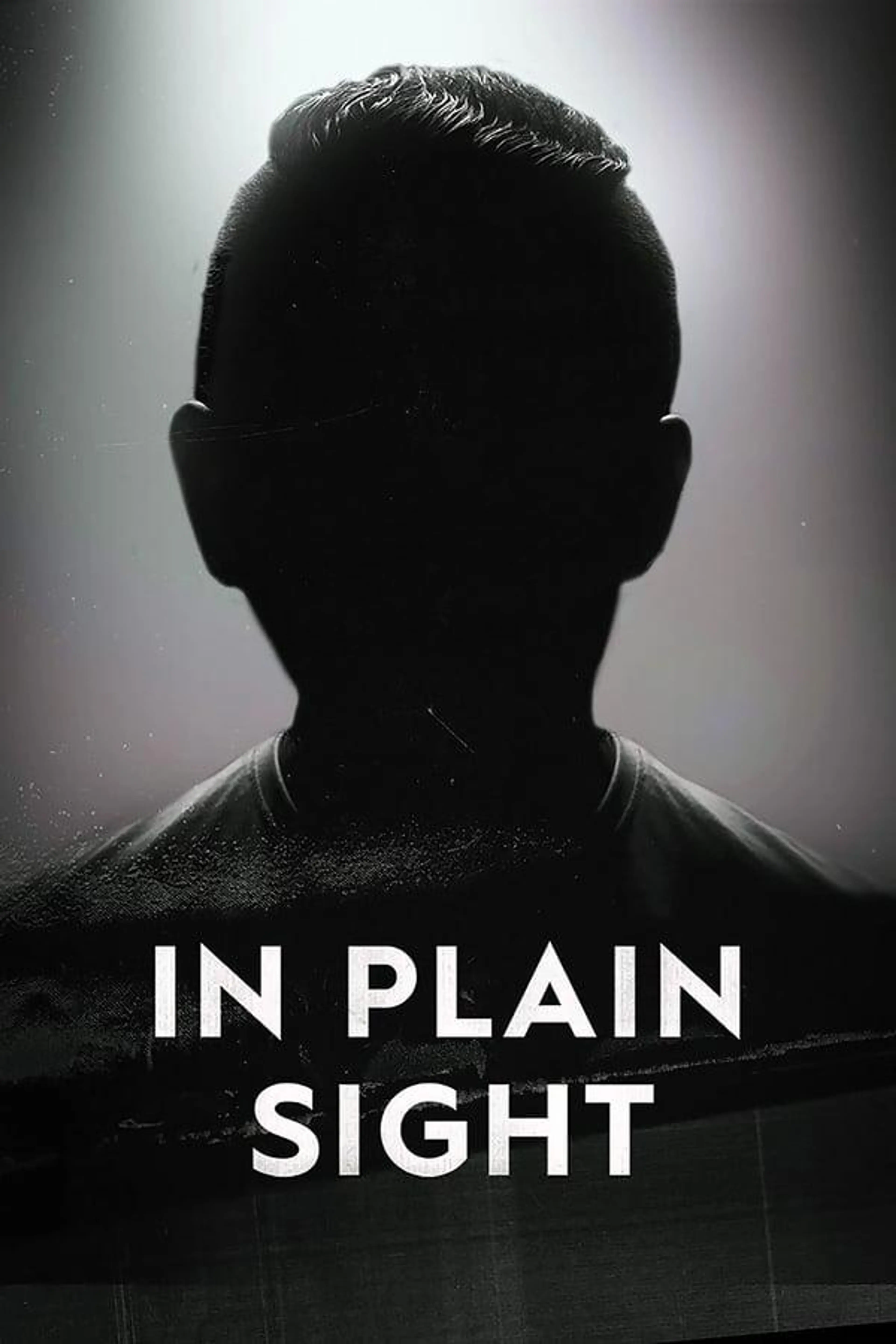 In Plain Sight Season 2