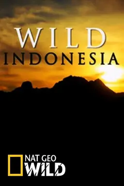 Wild Indonesia Season 1