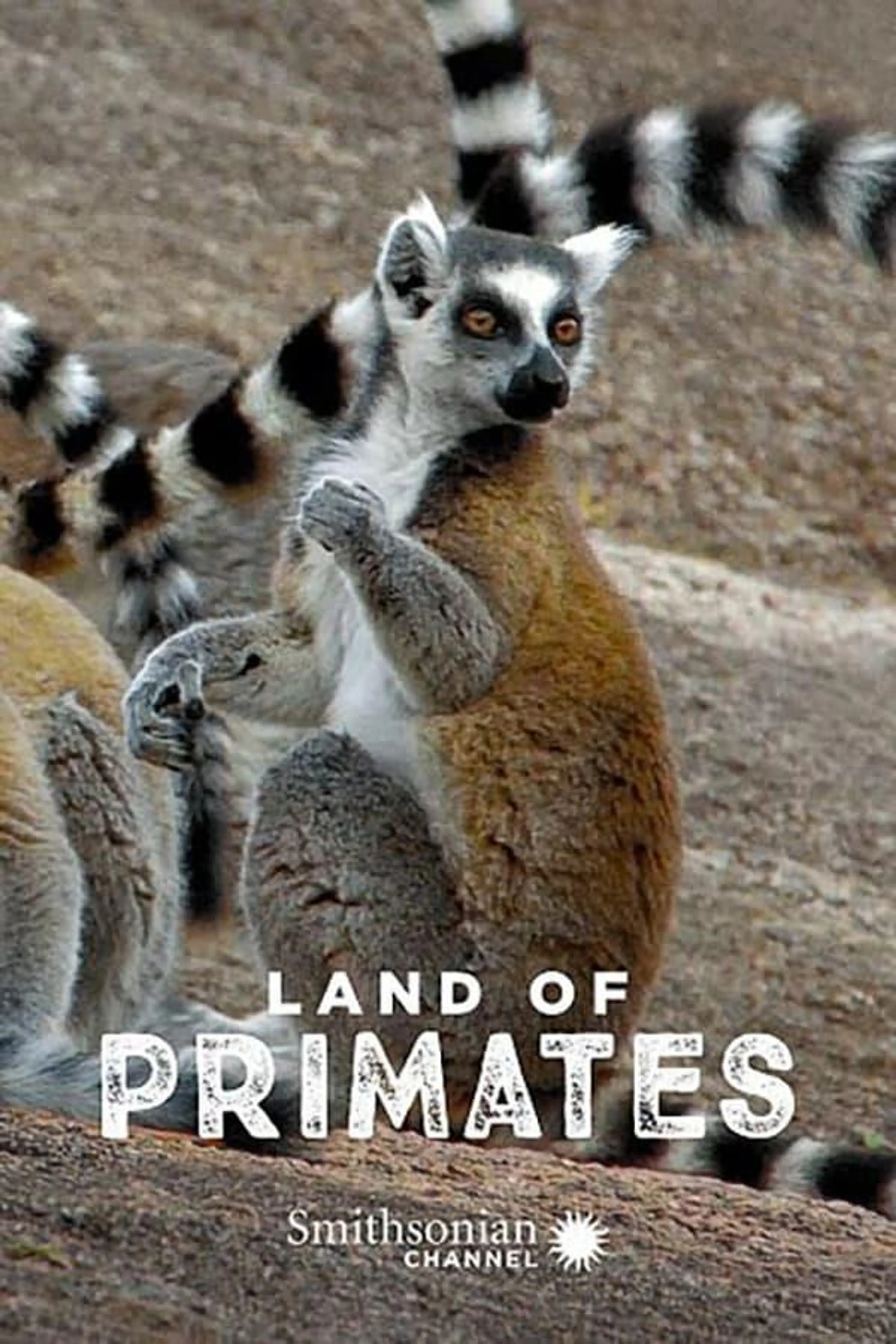Land of Primates Season 1