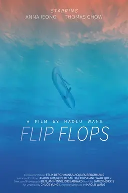 Flip Flops
