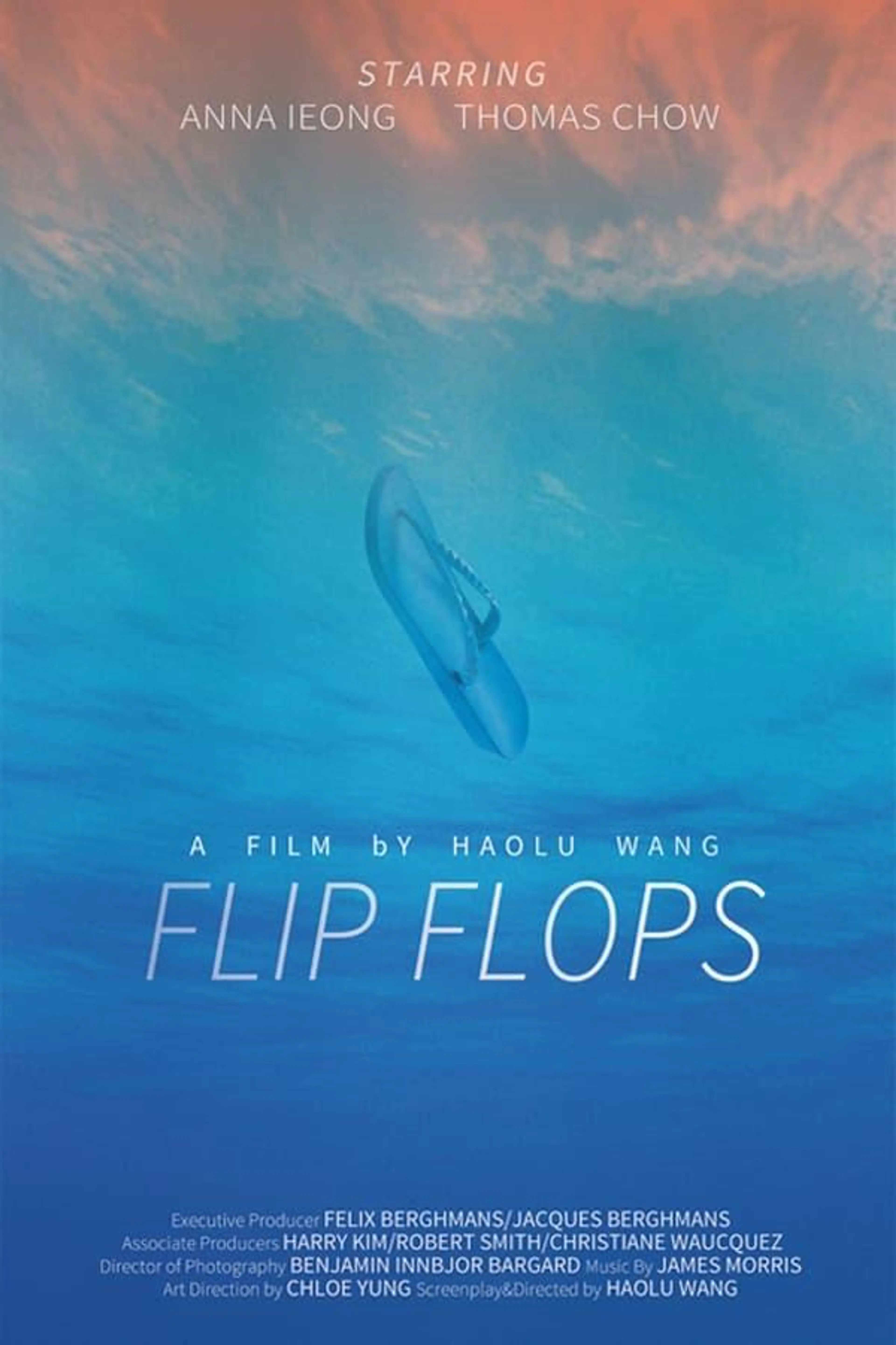 Flip Flops