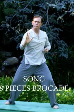 8 Pieces Brocade - Qigong
