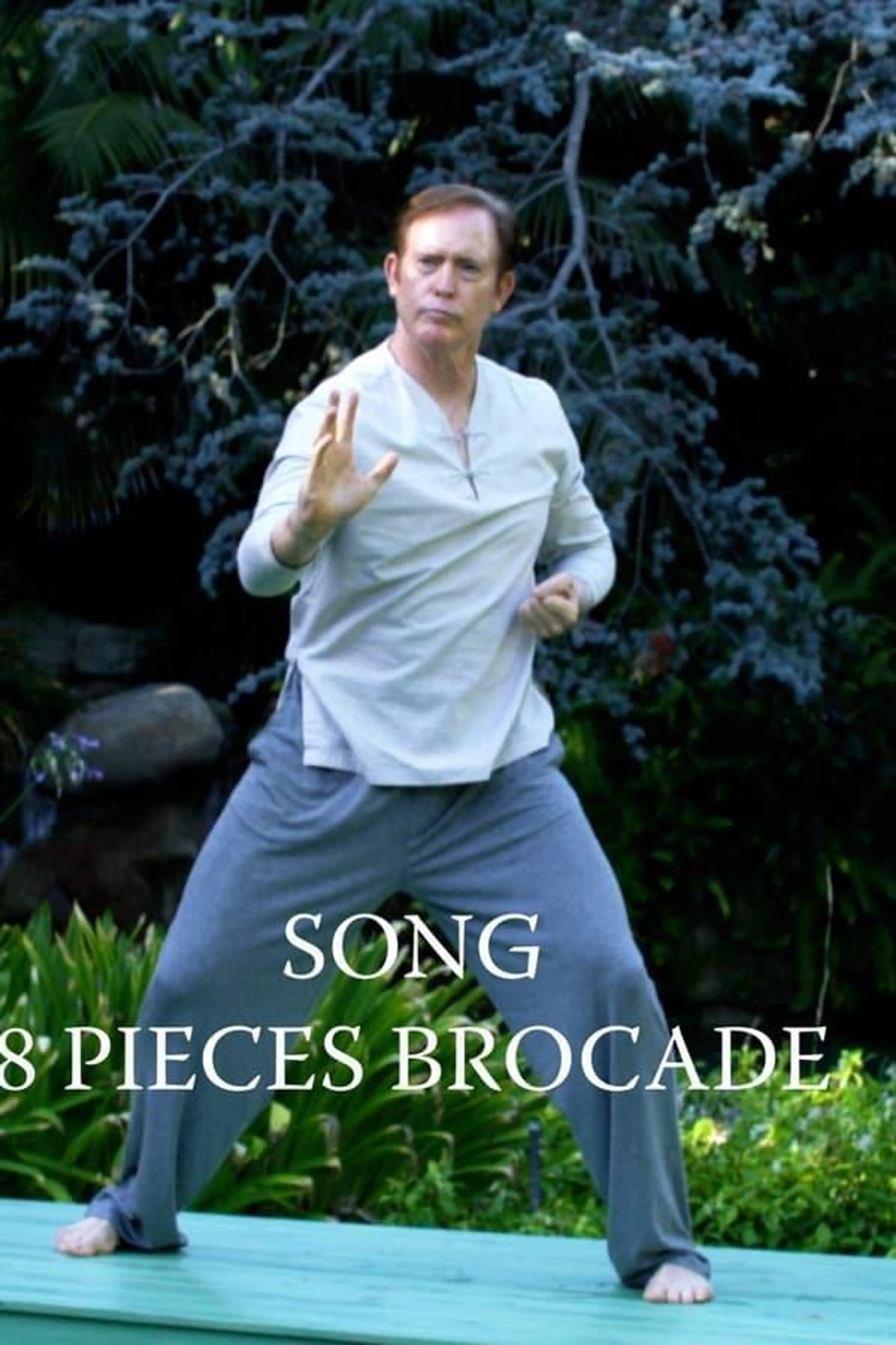8 Pieces Brocade - Qigong
