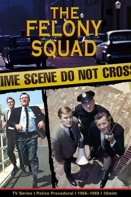 Felony Squad Season 2