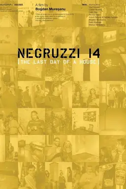 Negruzzi 14