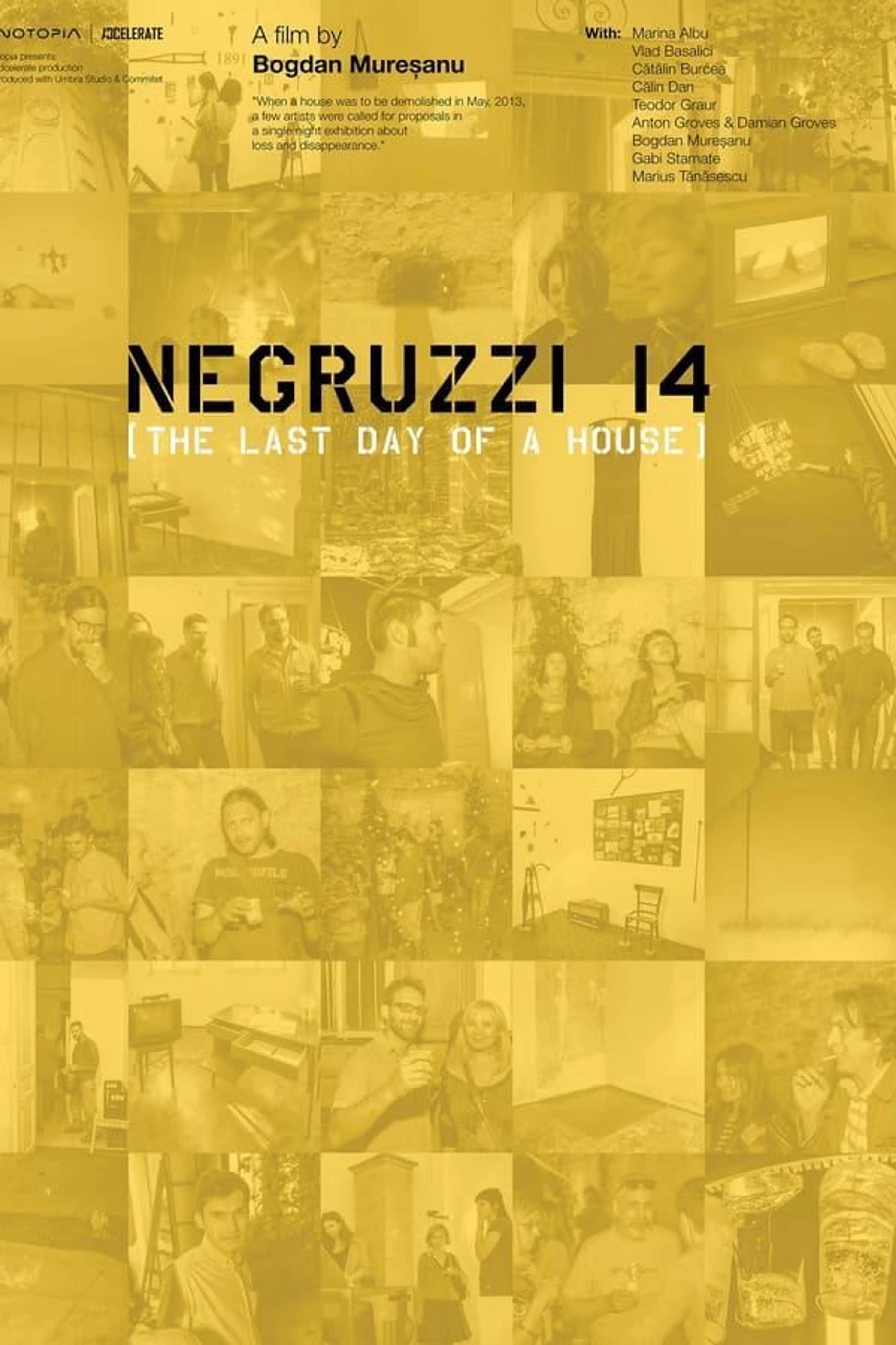 Negruzzi 14